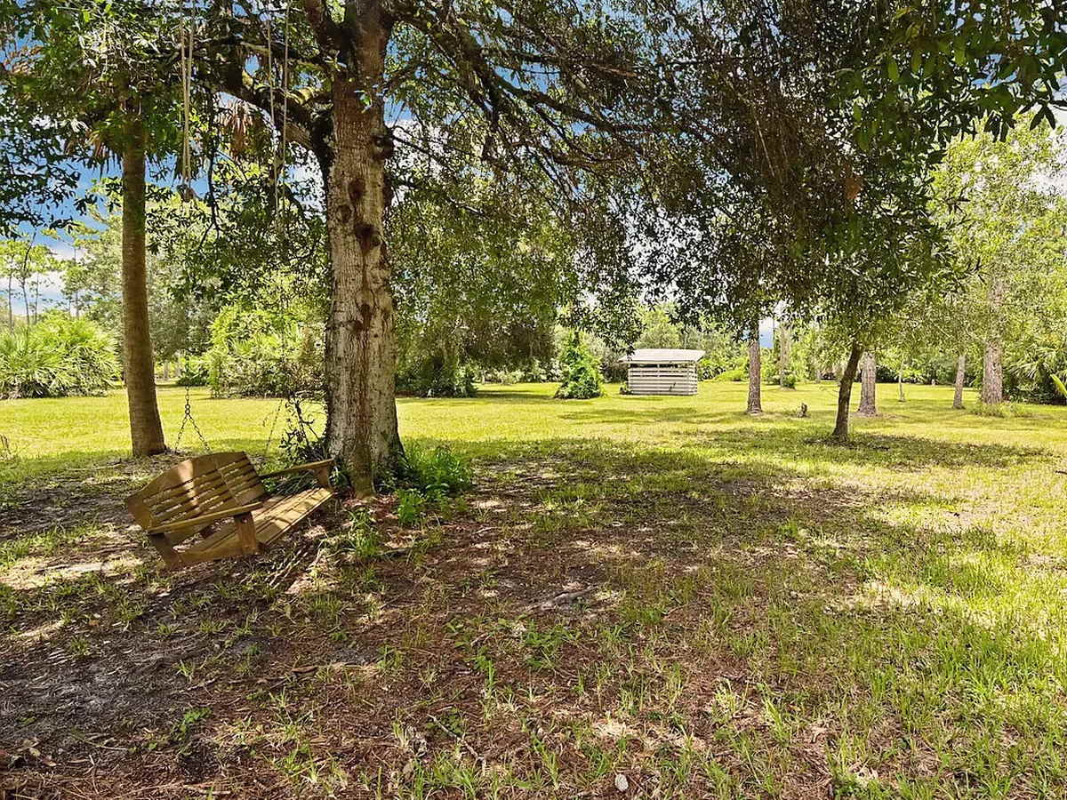 Mature oaks and palms over open grass, a wooden swing seat beneath a tree.