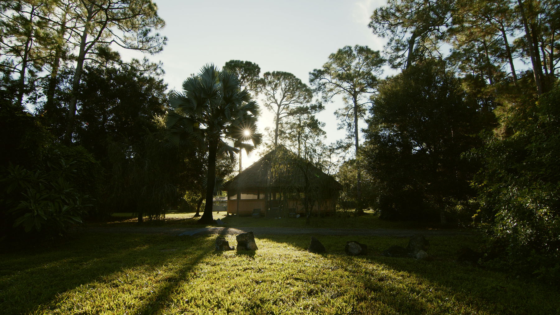 Early light across the grass, long shadows from the pines, the Maloka in the distance beneath a tall palm.